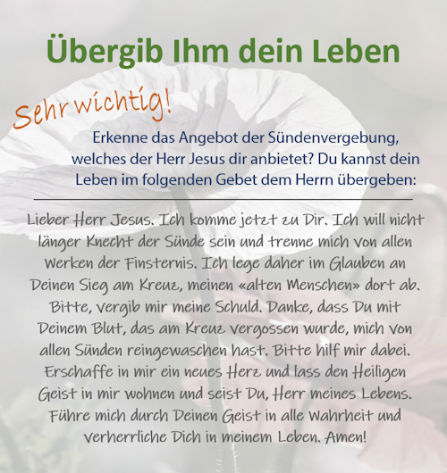 Strassenevangelisation.ch